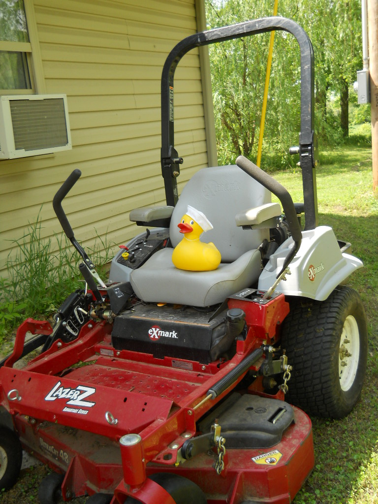 Sailor Duck on A Riding Mower
