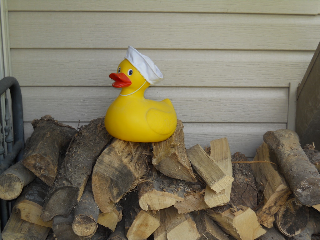 Sailor Duck on a Woodpile