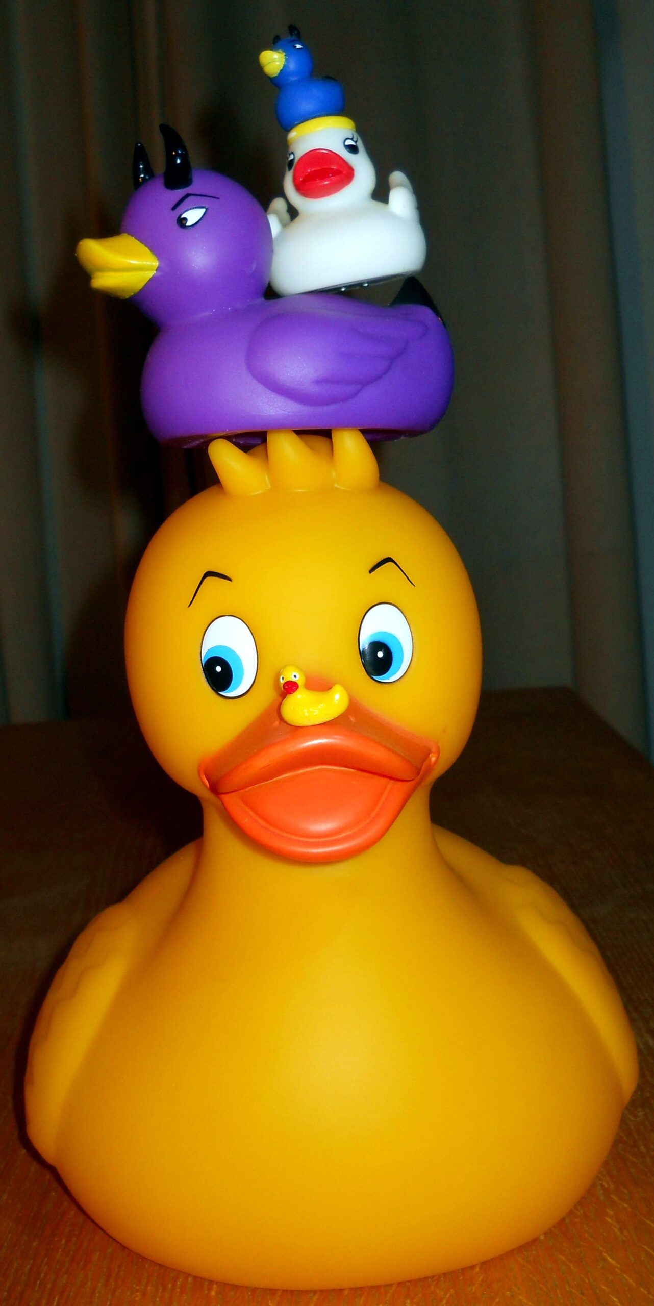 Wonderduck’s Ducks on Ducks