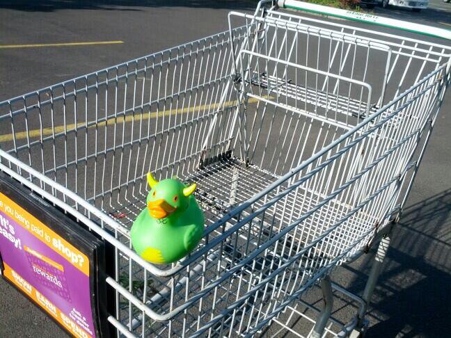 Rex on a Shopping Cart