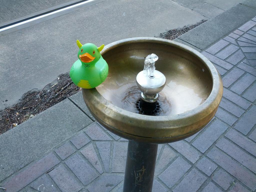Rex on a Drinking Fountain