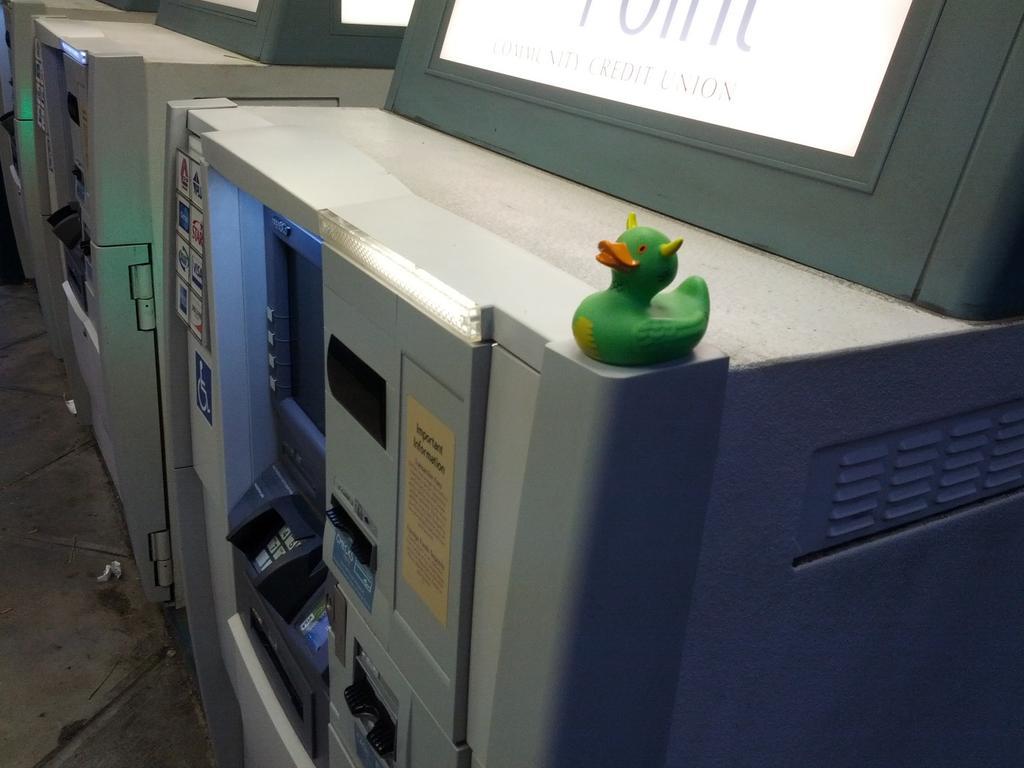 Rex on an ATM