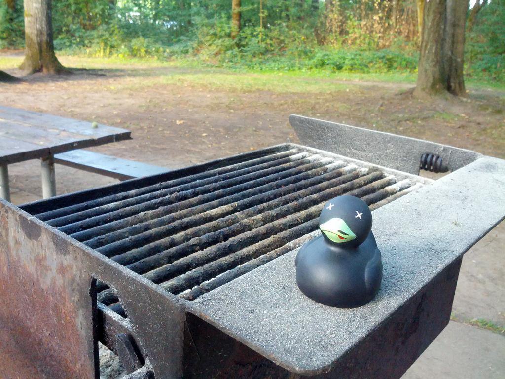 Score on a Park Charcoal Grill