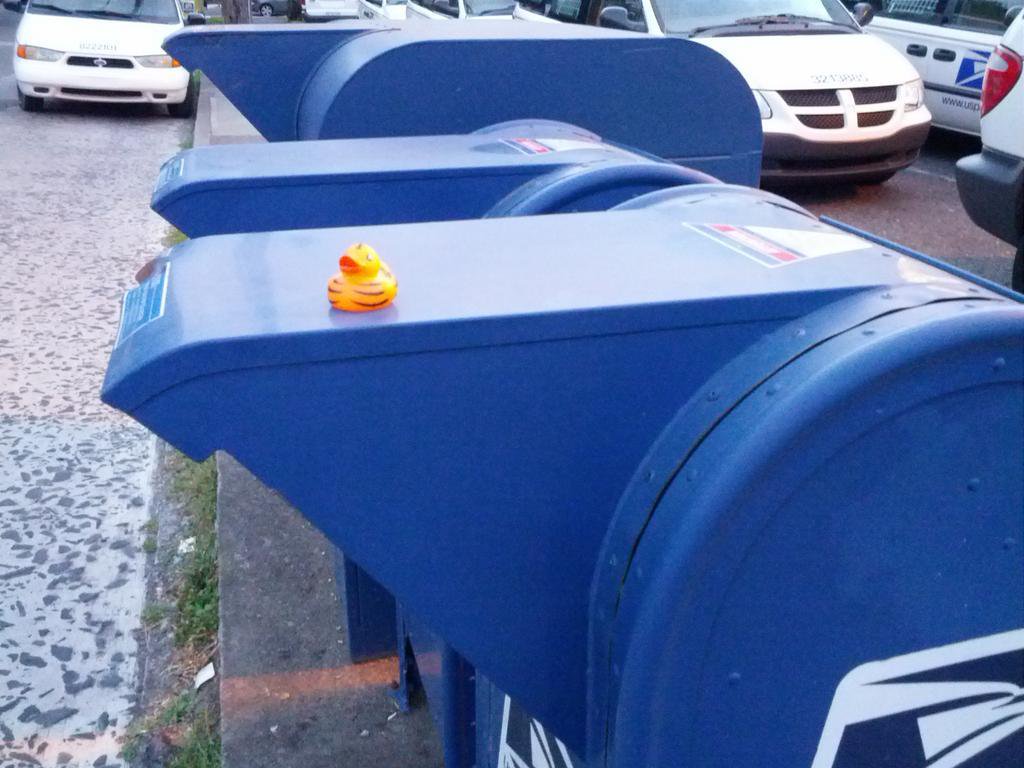 Tiger on a Post Office Mail Drop