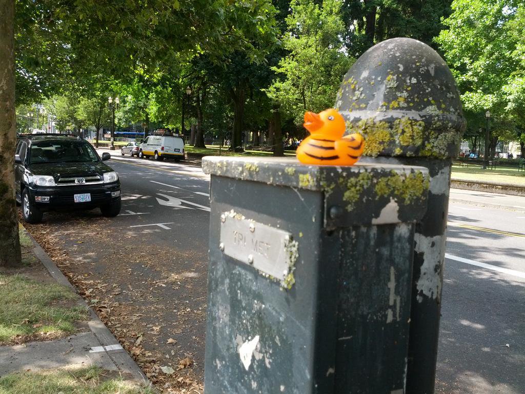 Tiger on a TriMet Switch Box