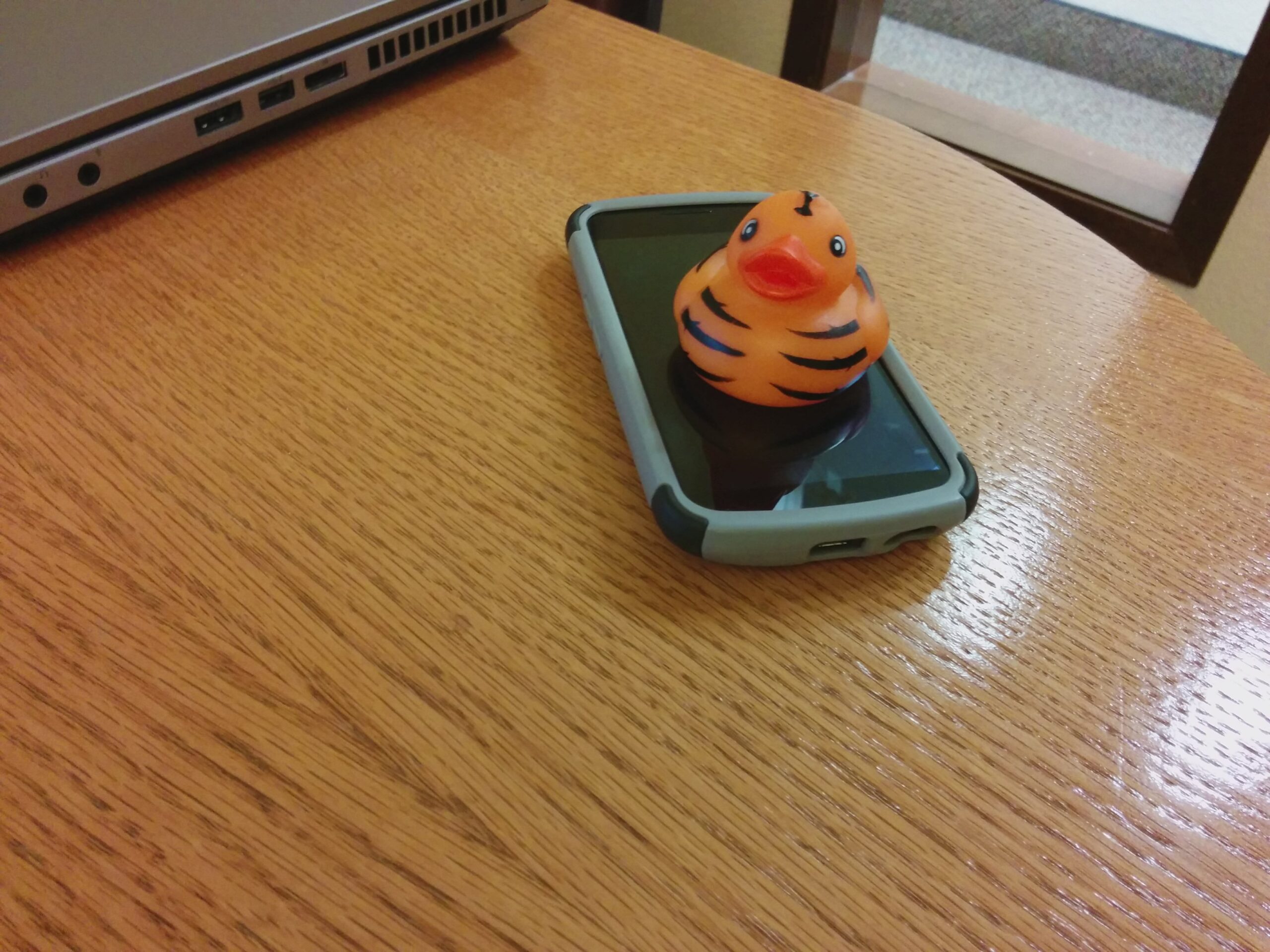 Tiger on the Old Galaxy Nexus