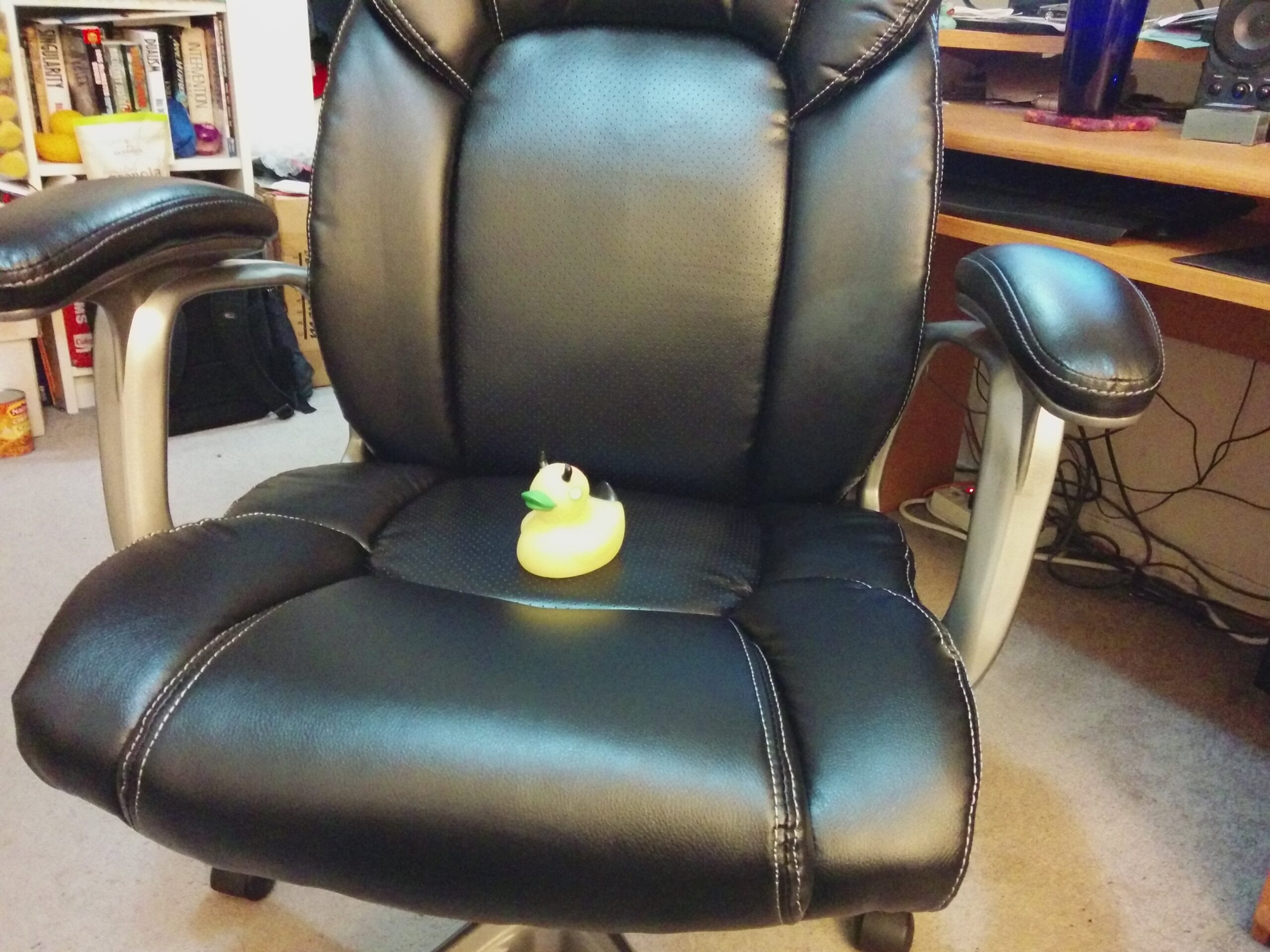 Bob on the New Desk Chair