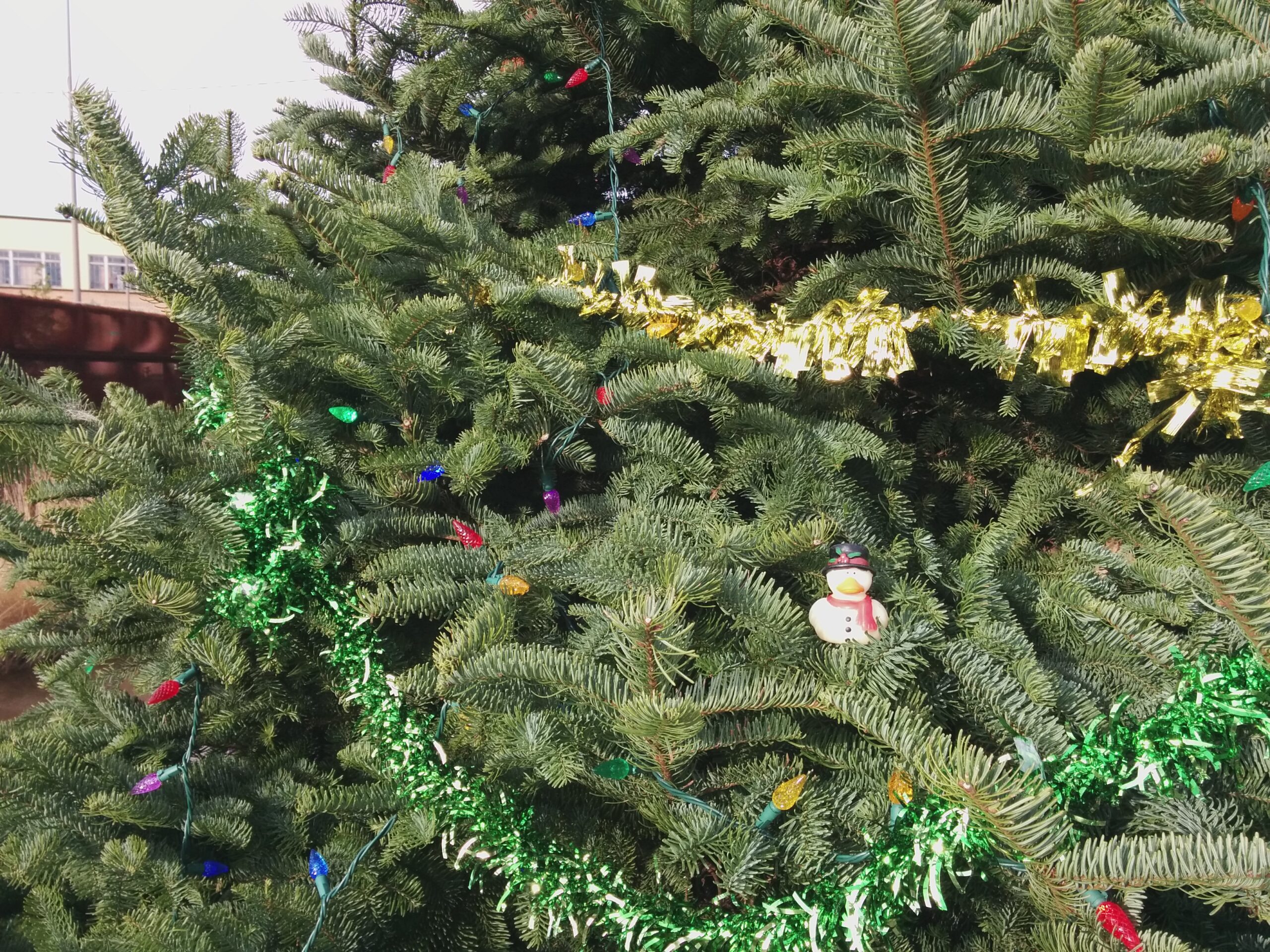 Frosty on a Christmas Tree
