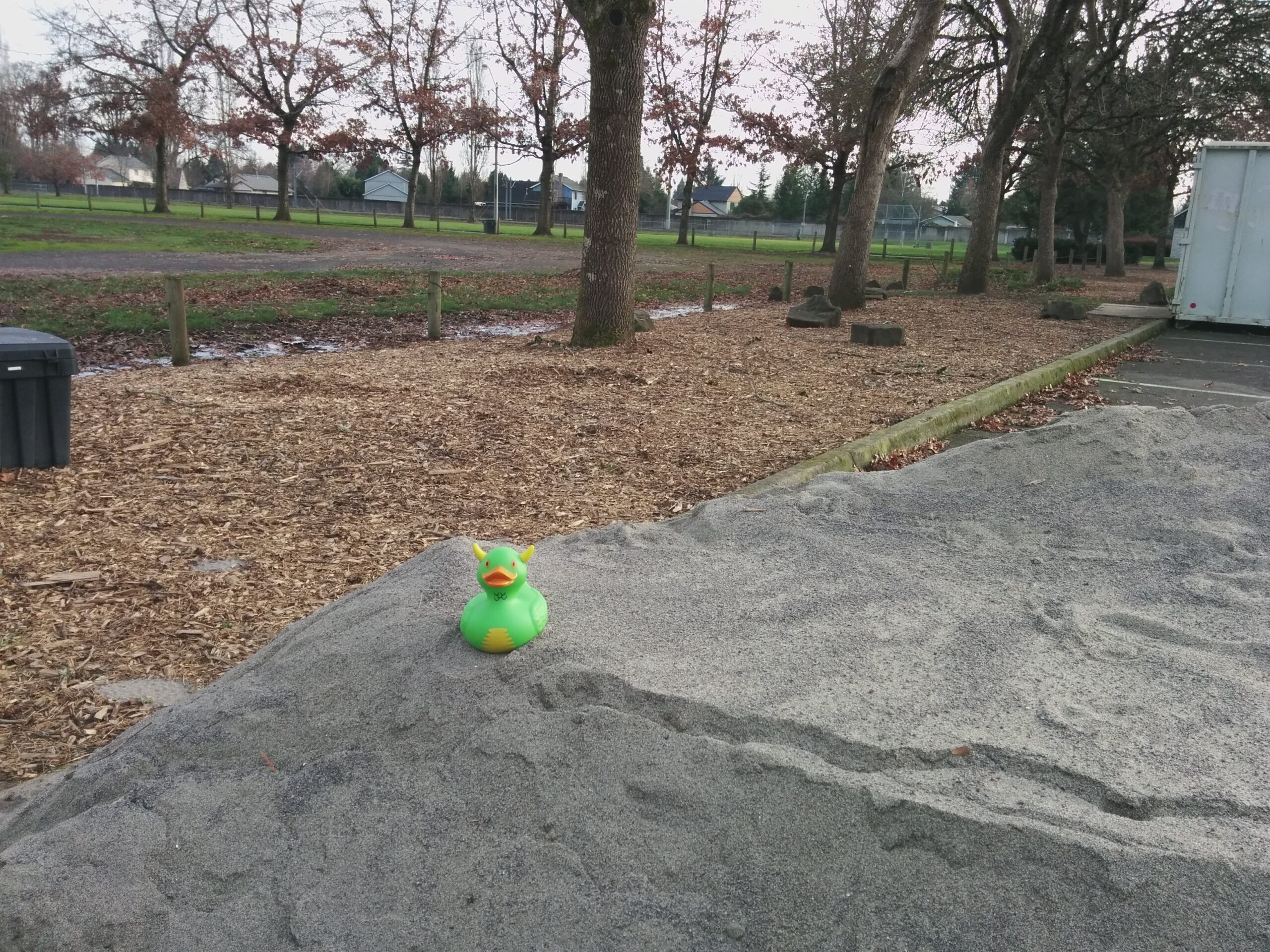 Rex on a Pile of Sand