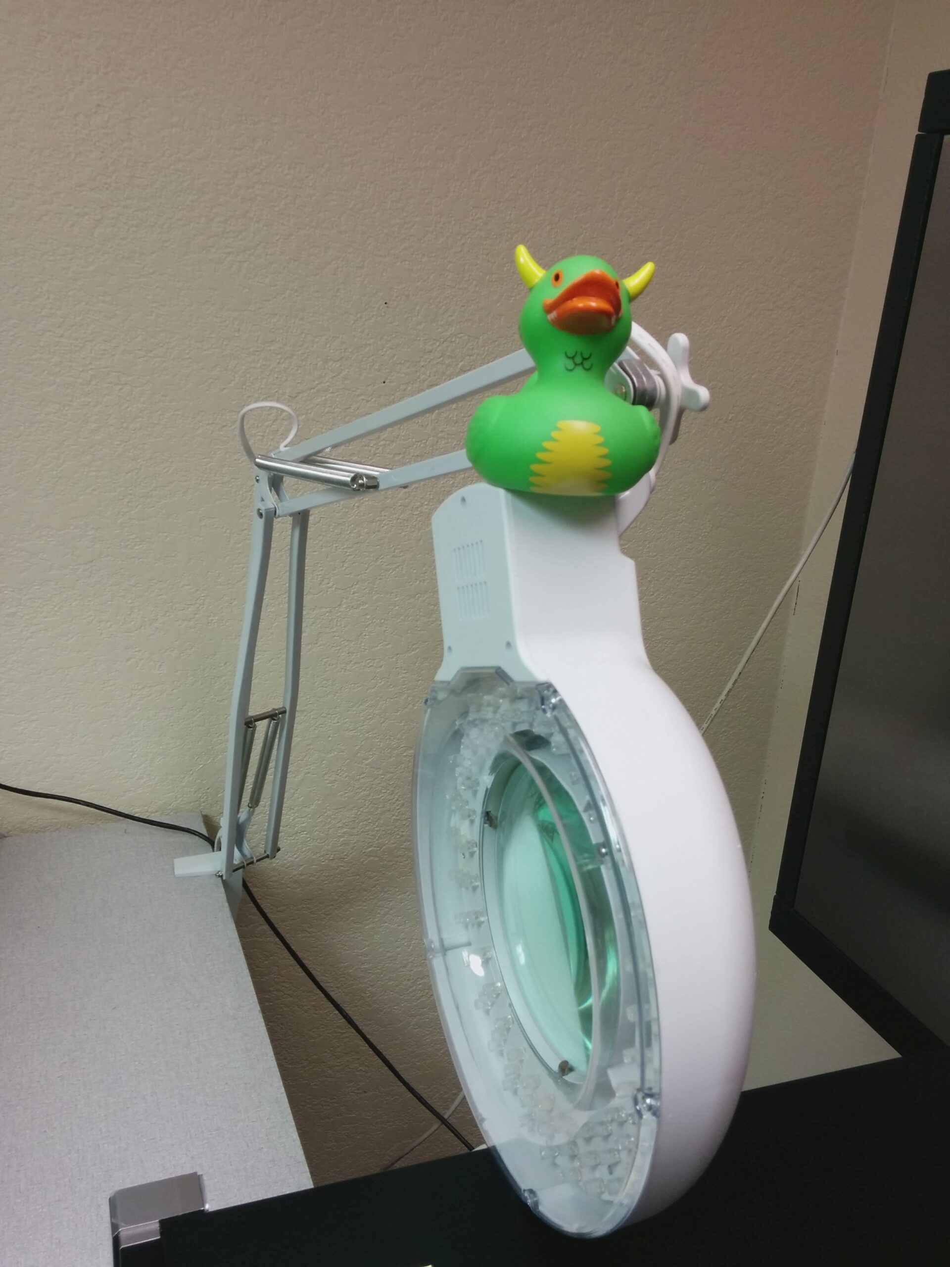 Rex on a Magnifying Lamp