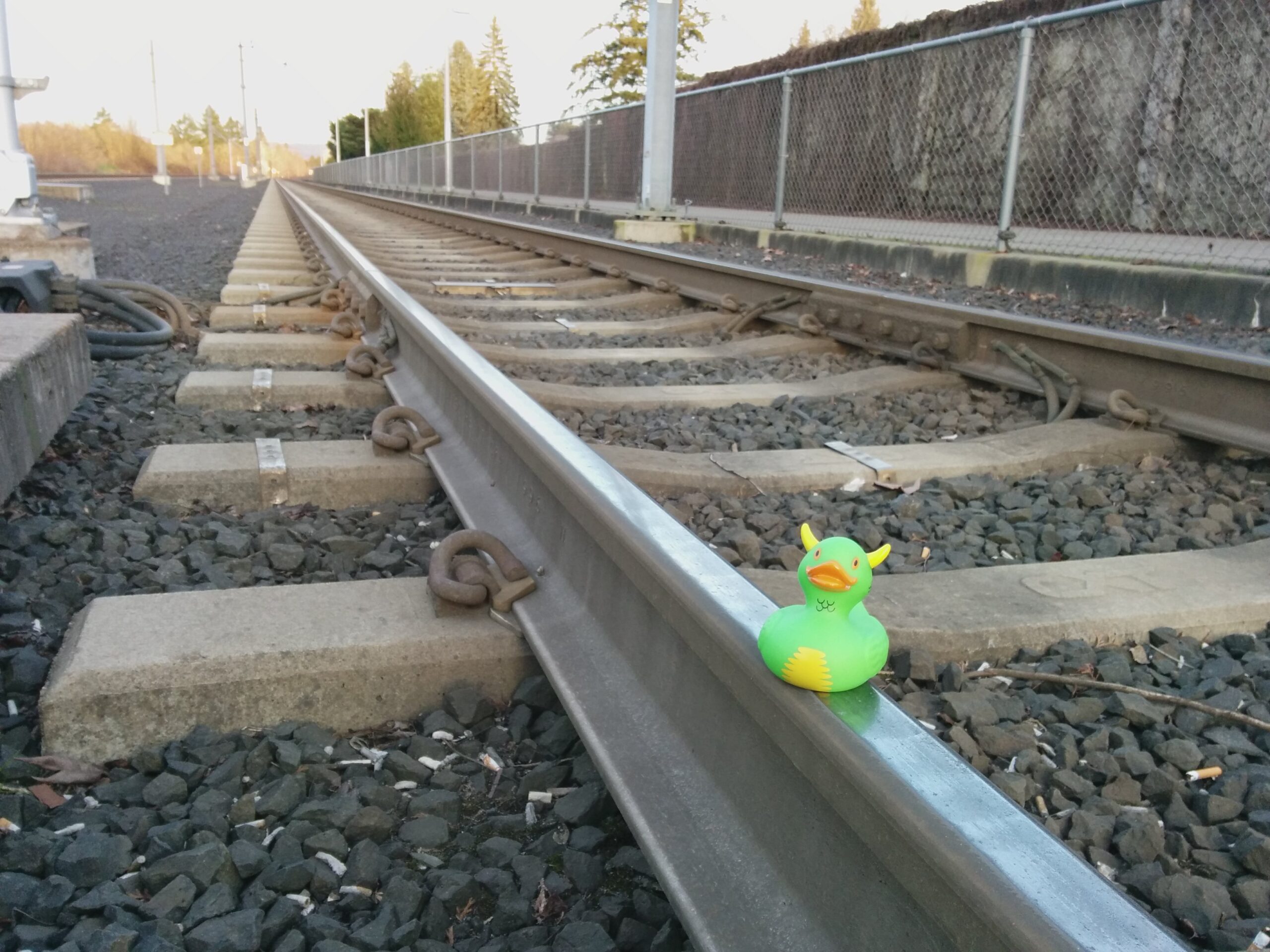 Rex on the MAX Tracks