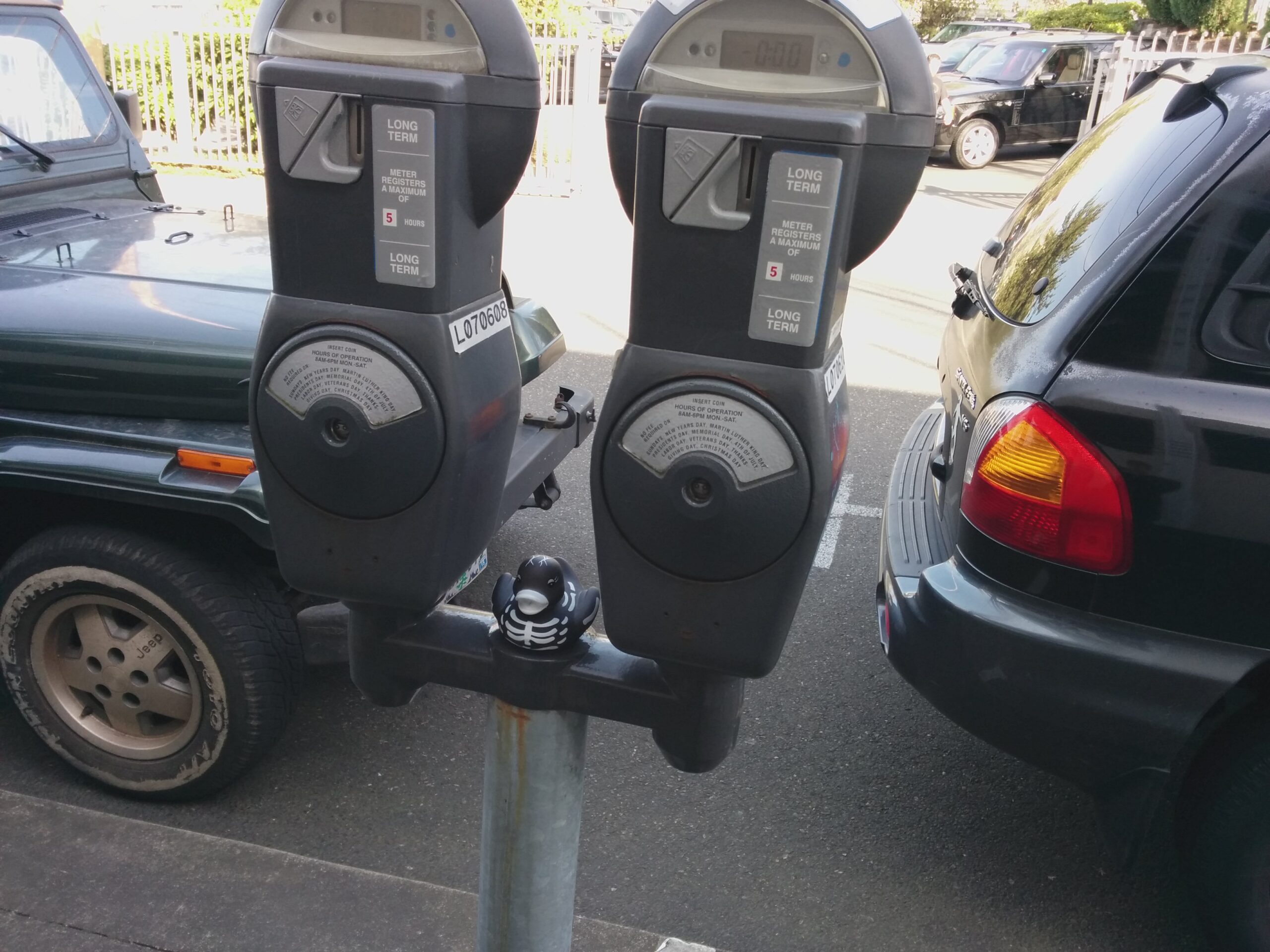 Skelly on a Parking Meter Post