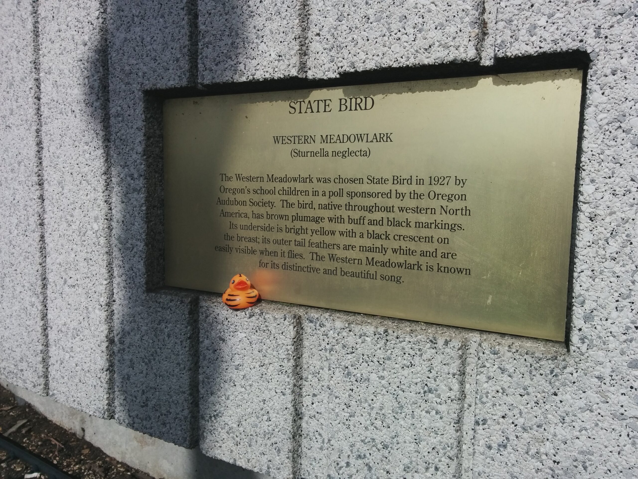 Tiger on an Oregon State Bird Plaque