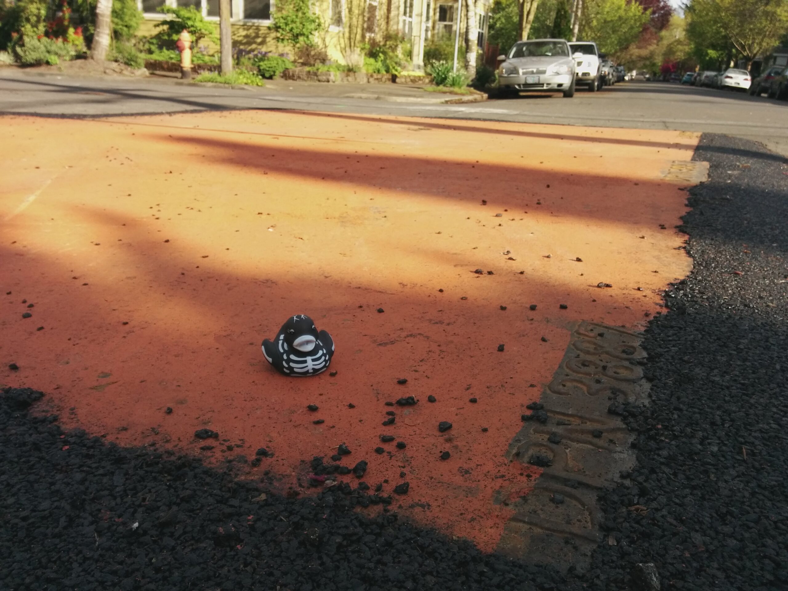 Skelly on a Steel Plate in the Road