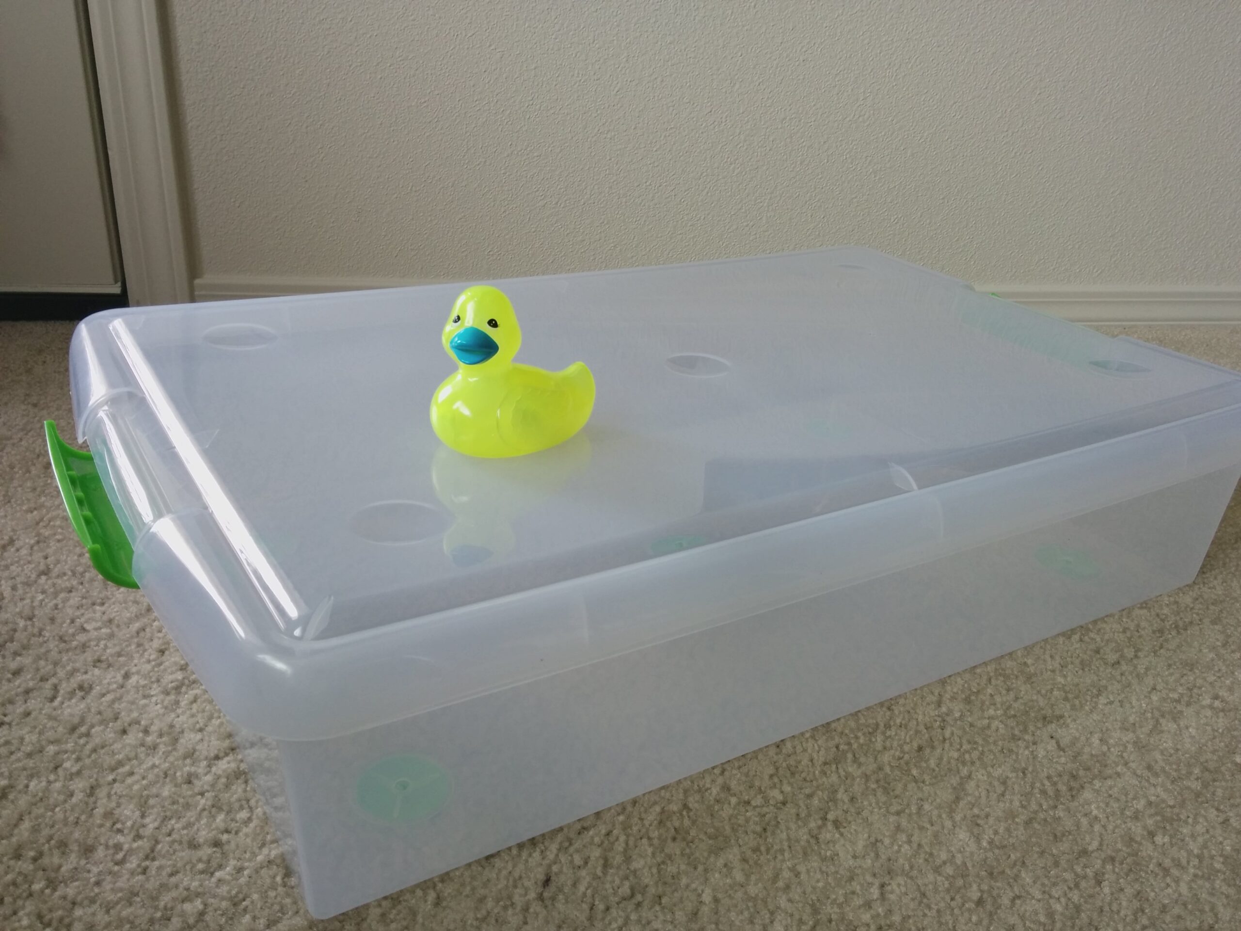 Lumina on a Plastic Storage Bin
