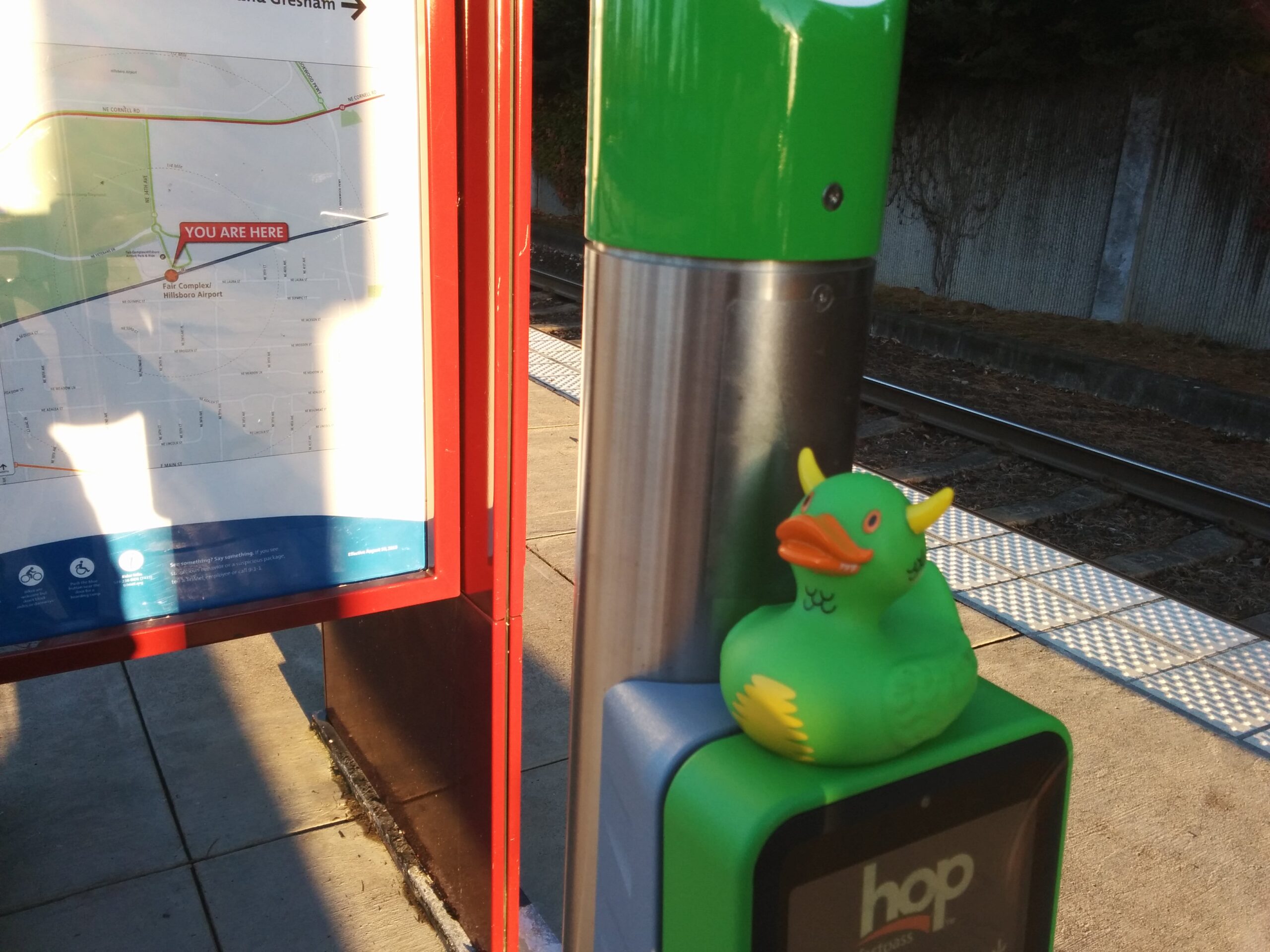 Rex on a Hop Fastpass Card Reader
