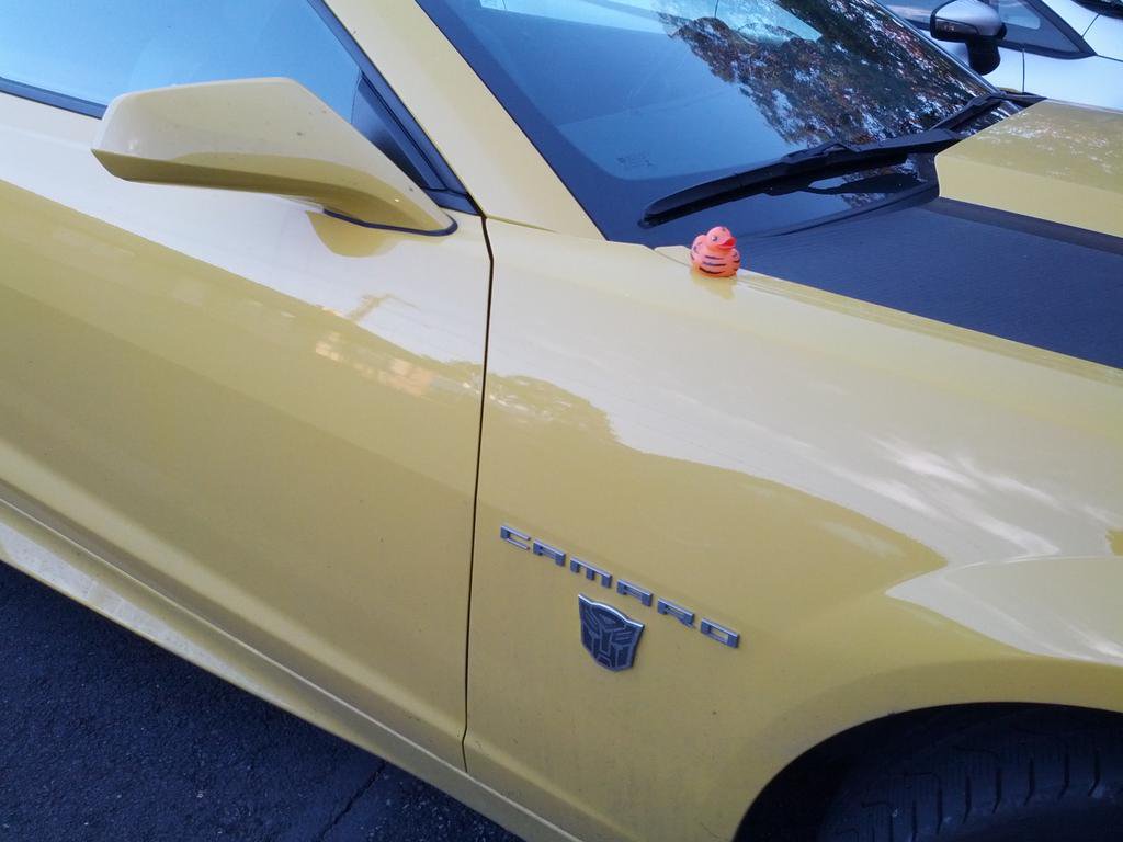 Tiger on a Bumblebee