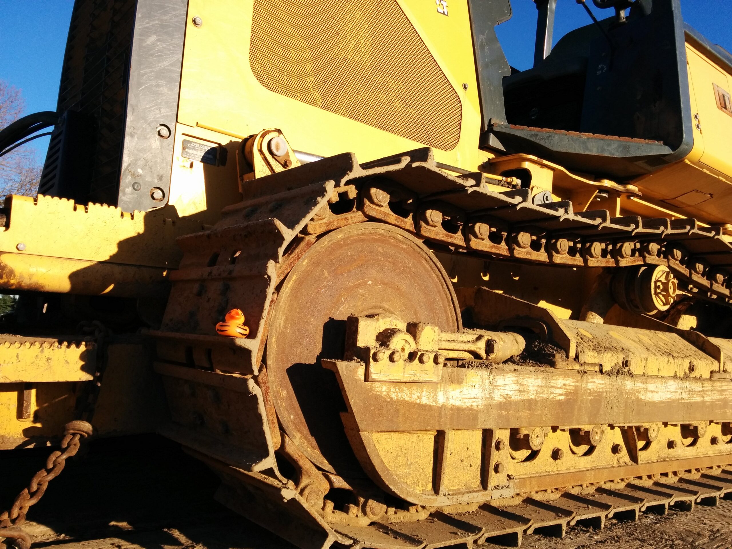 Tiger on a Bulldozer