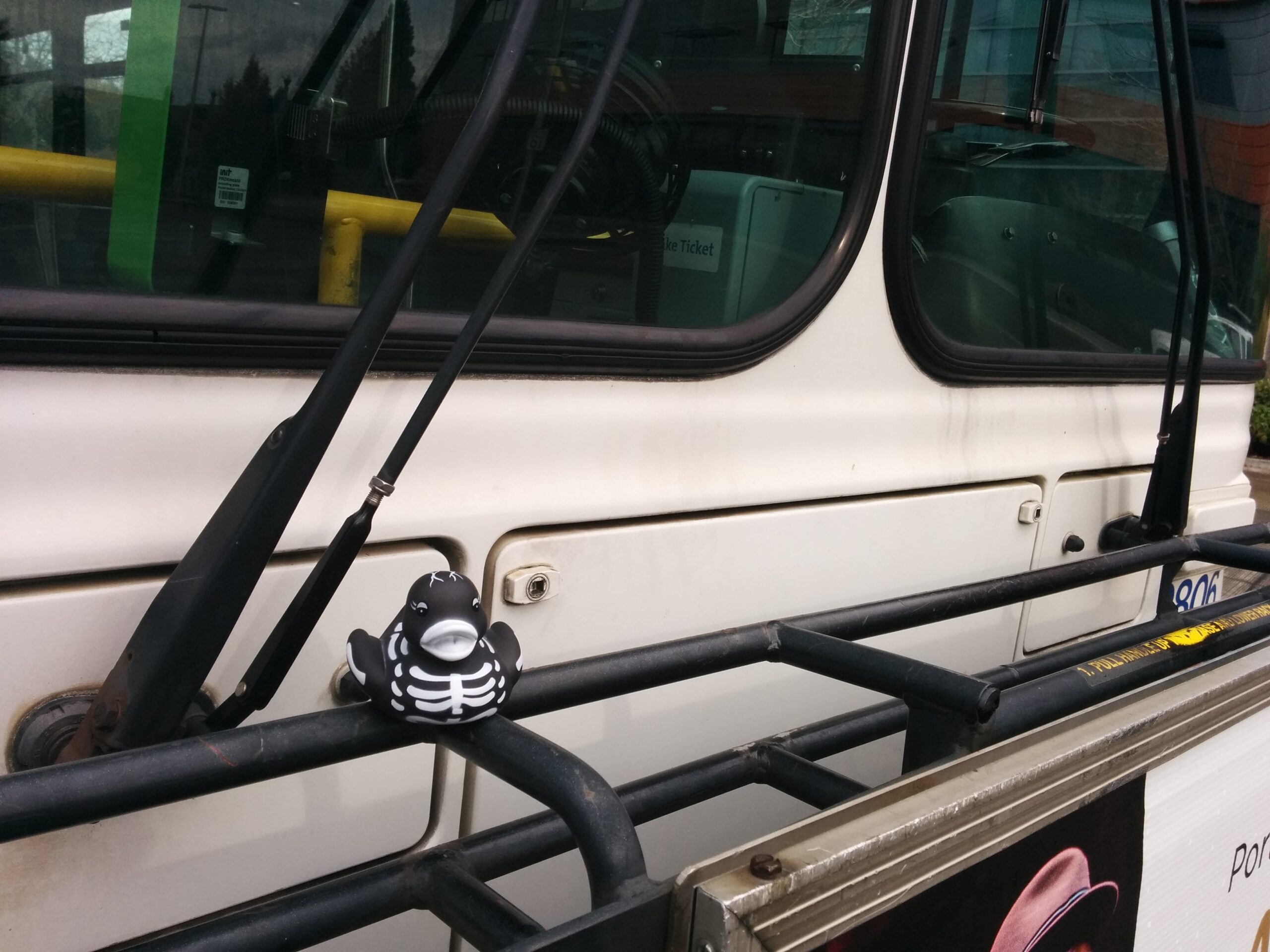 Skelly on a TriMet Bus