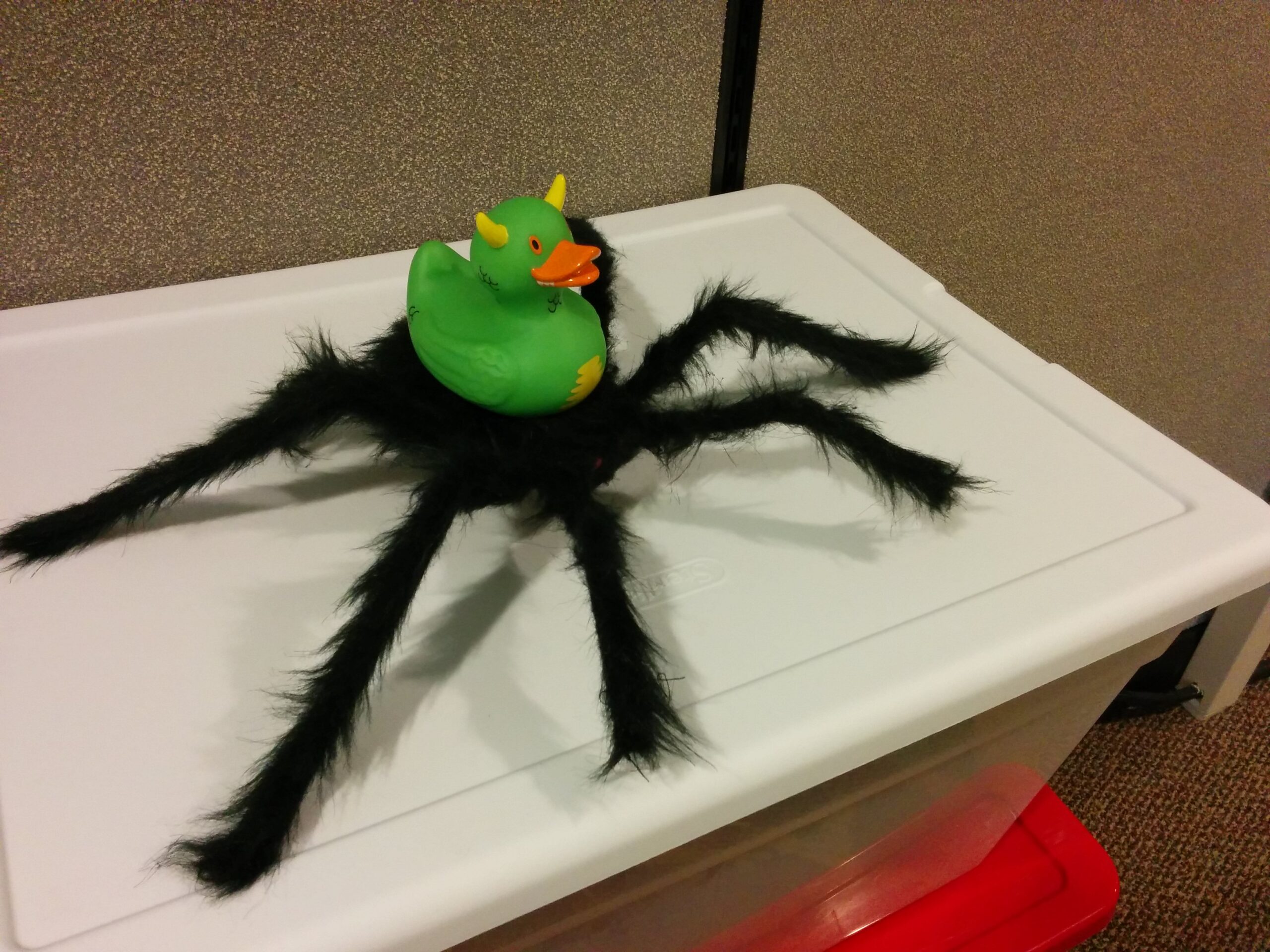 Rex on a Halloween Decorative Spider