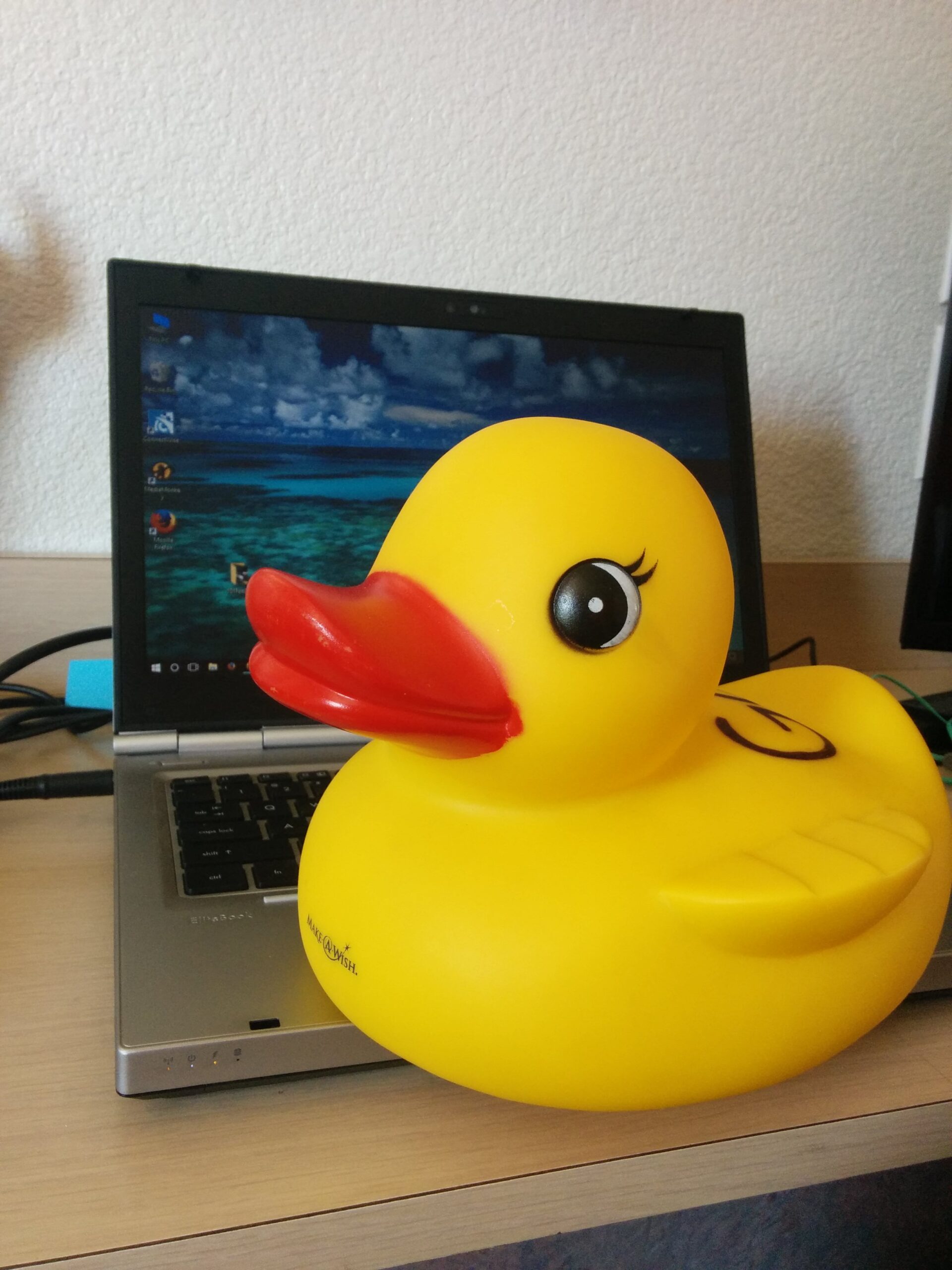 Gary the Racing Duck on a Laptop Computer