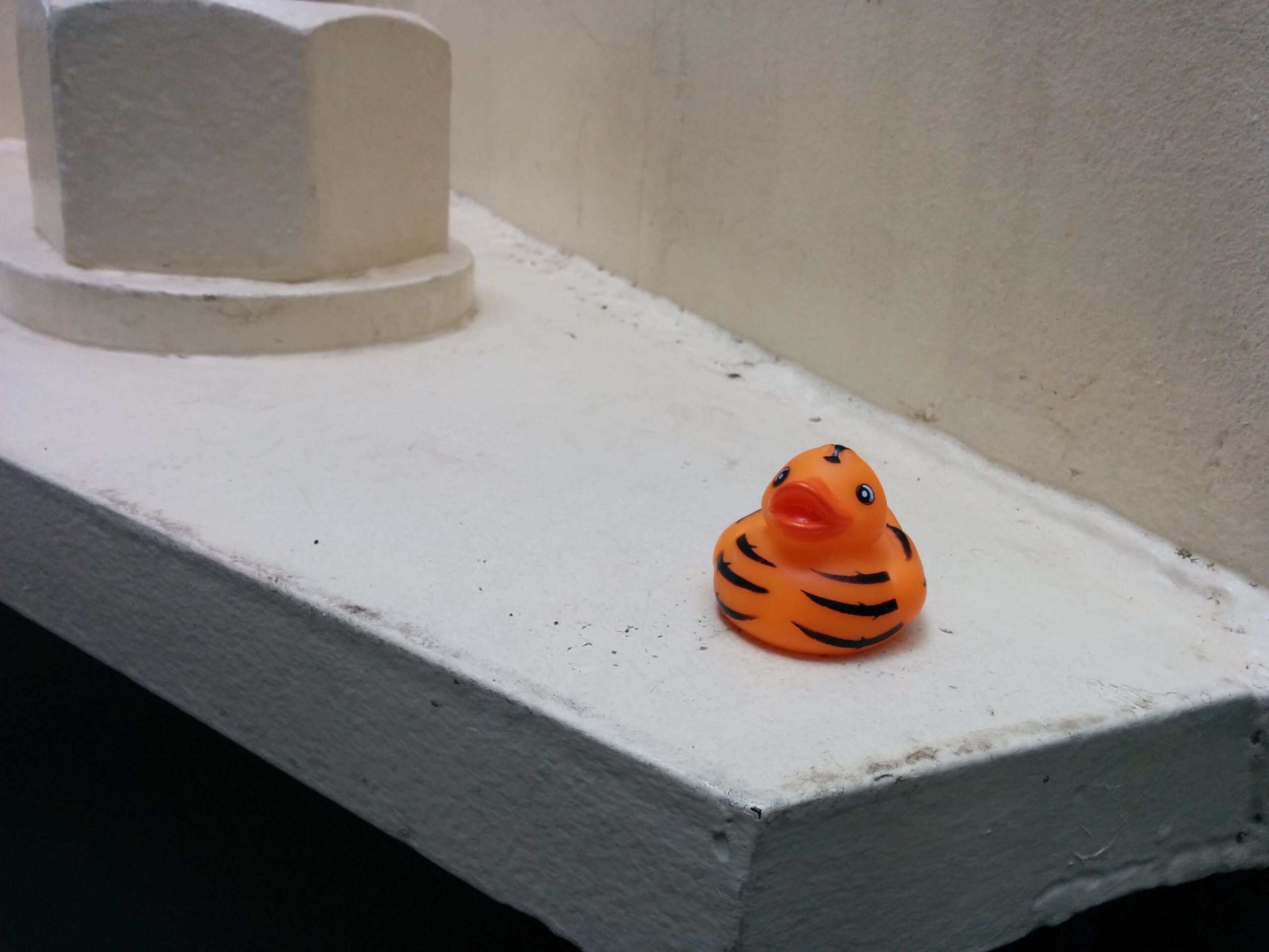 Tiger on the Seattle Space Needle