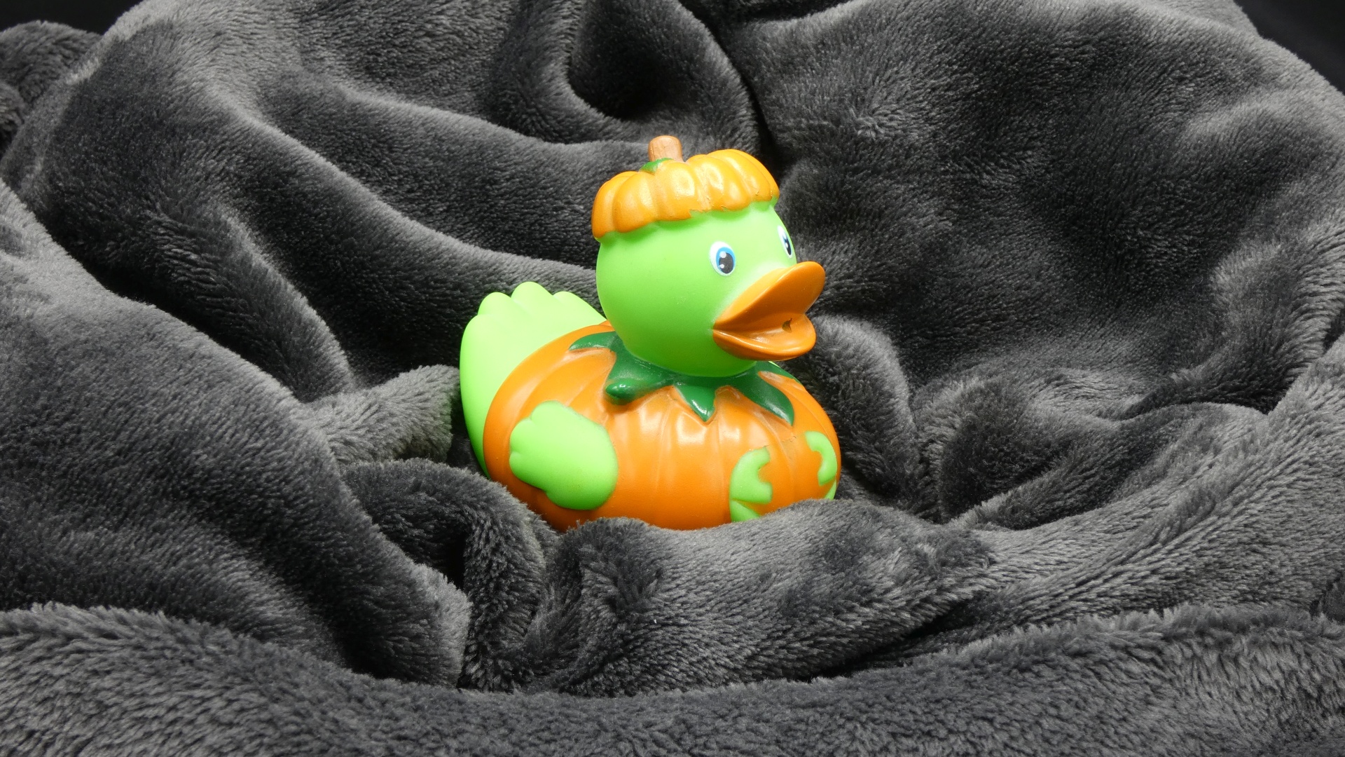 Pumpkin Duck on a Gray Blanket