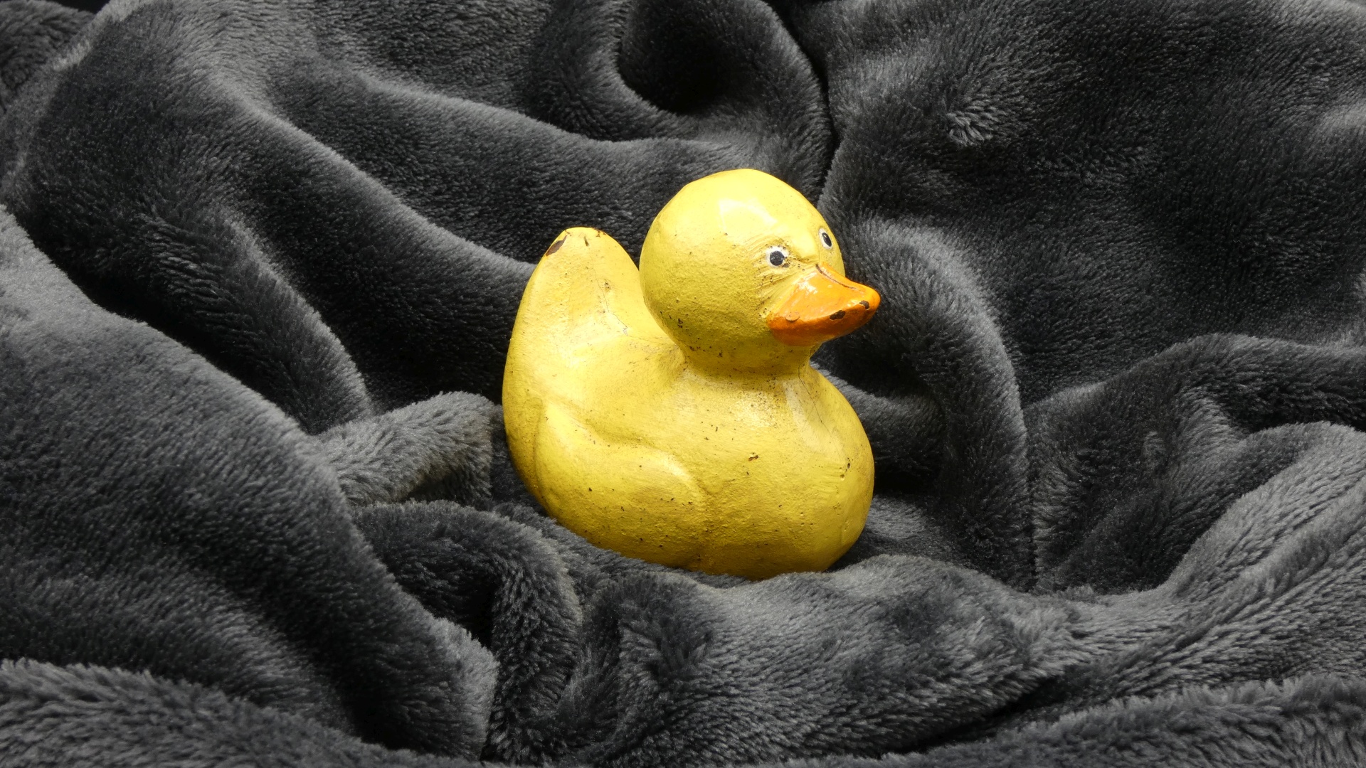 Rusty on a Gray Blanket